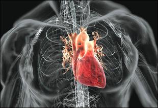 Серцево-судинні хвороби